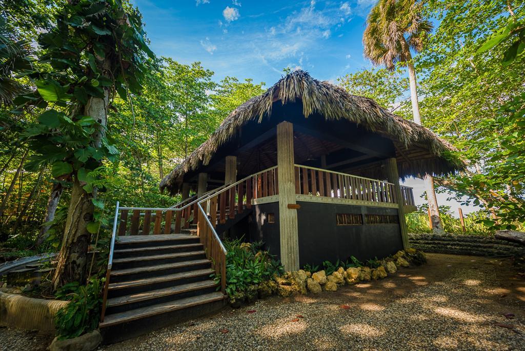 Natura Cabana Boutique Hotel & Spa By Mint Cabarete Bagian luar foto