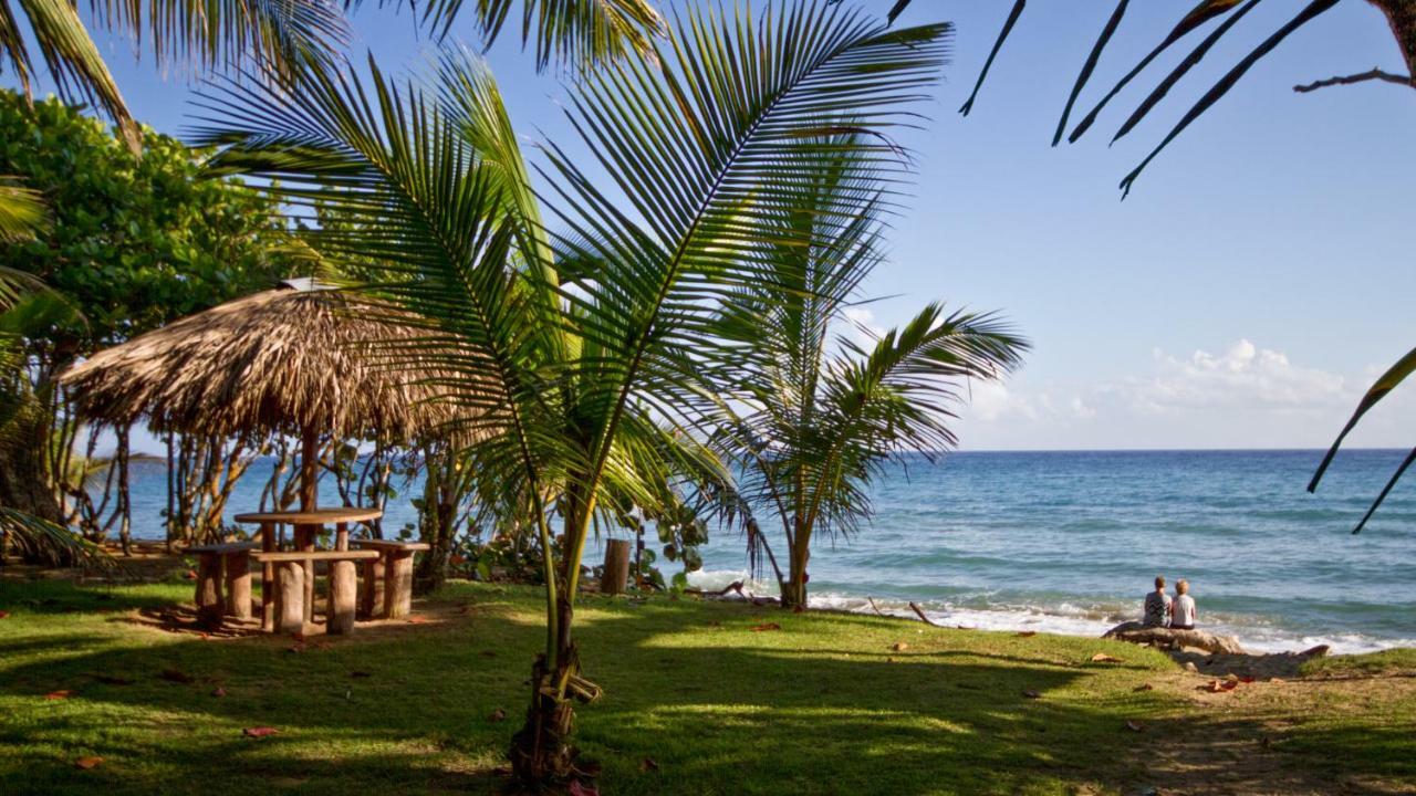 Natura Cabana Boutique Hotel & Spa By Mint Cabarete Bagian luar foto