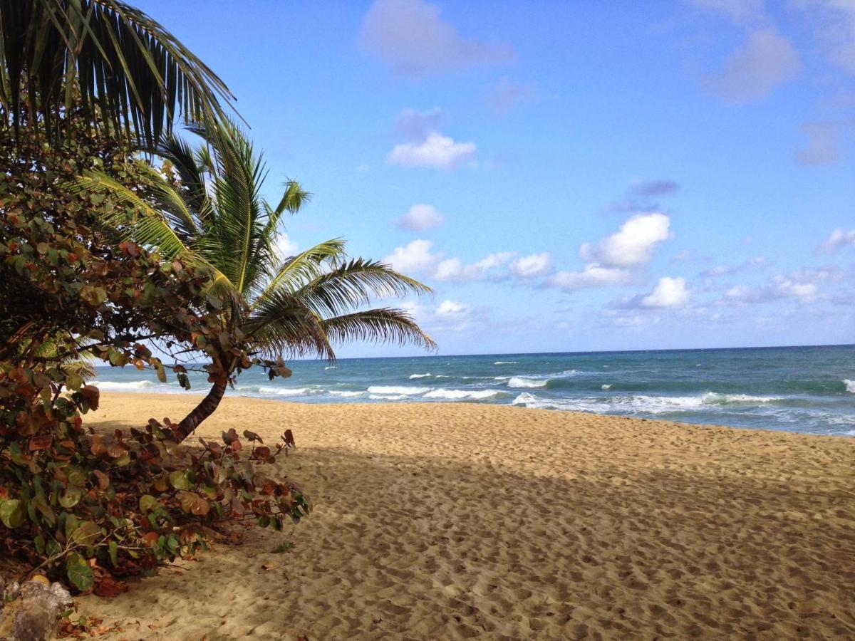 Natura Cabana Boutique Hotel & Spa By Mint Cabarete Bagian luar foto